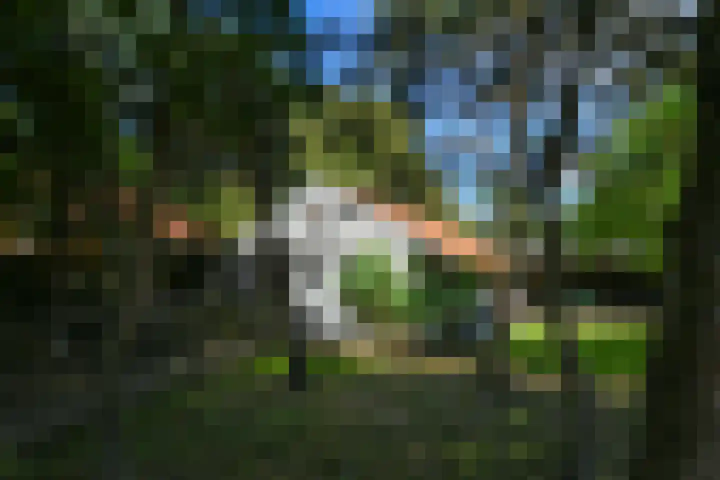 Engerstraat 4 Haler thumbnail 49
