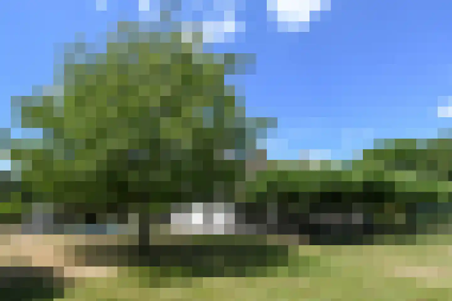 Engerstraat 4 Haler thumbnail 63