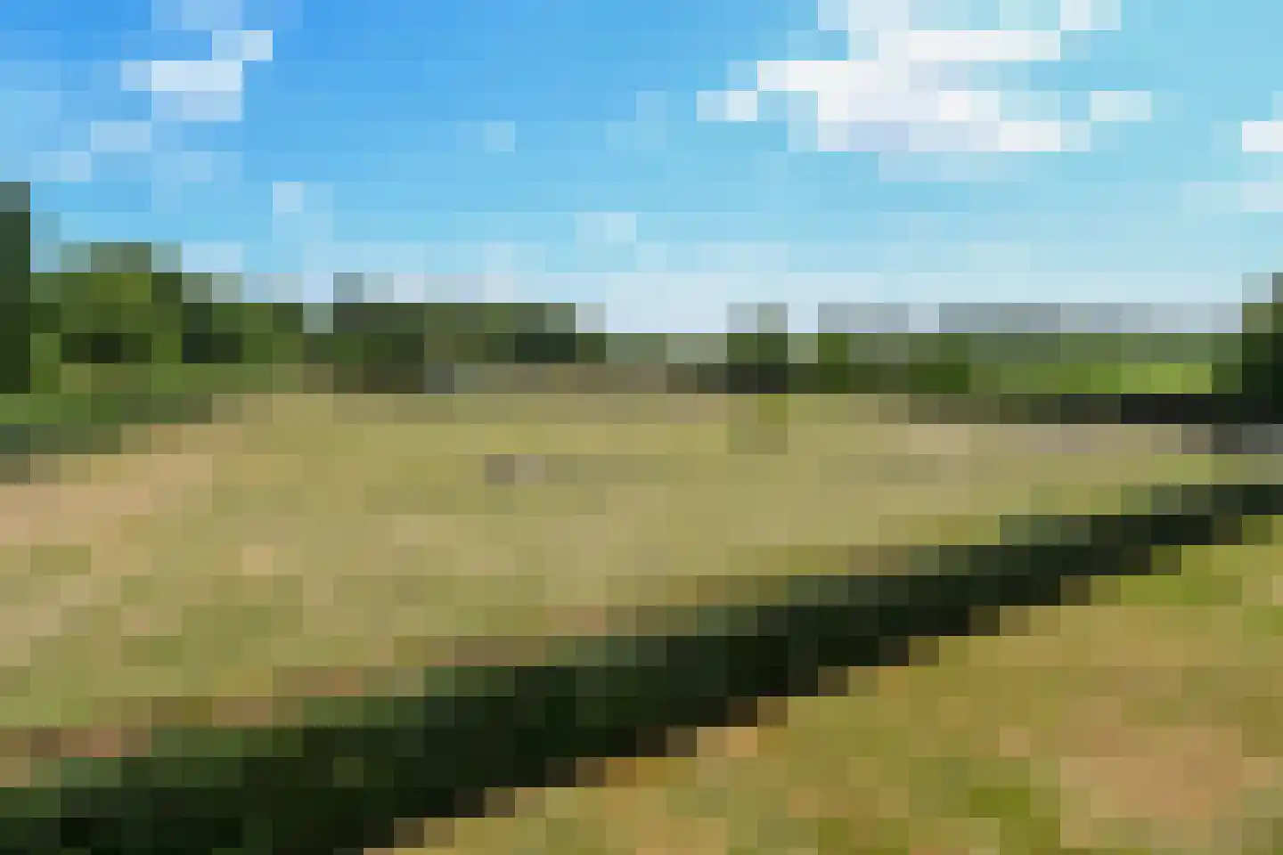 Engerstraat 4 Haler thumbnail 68