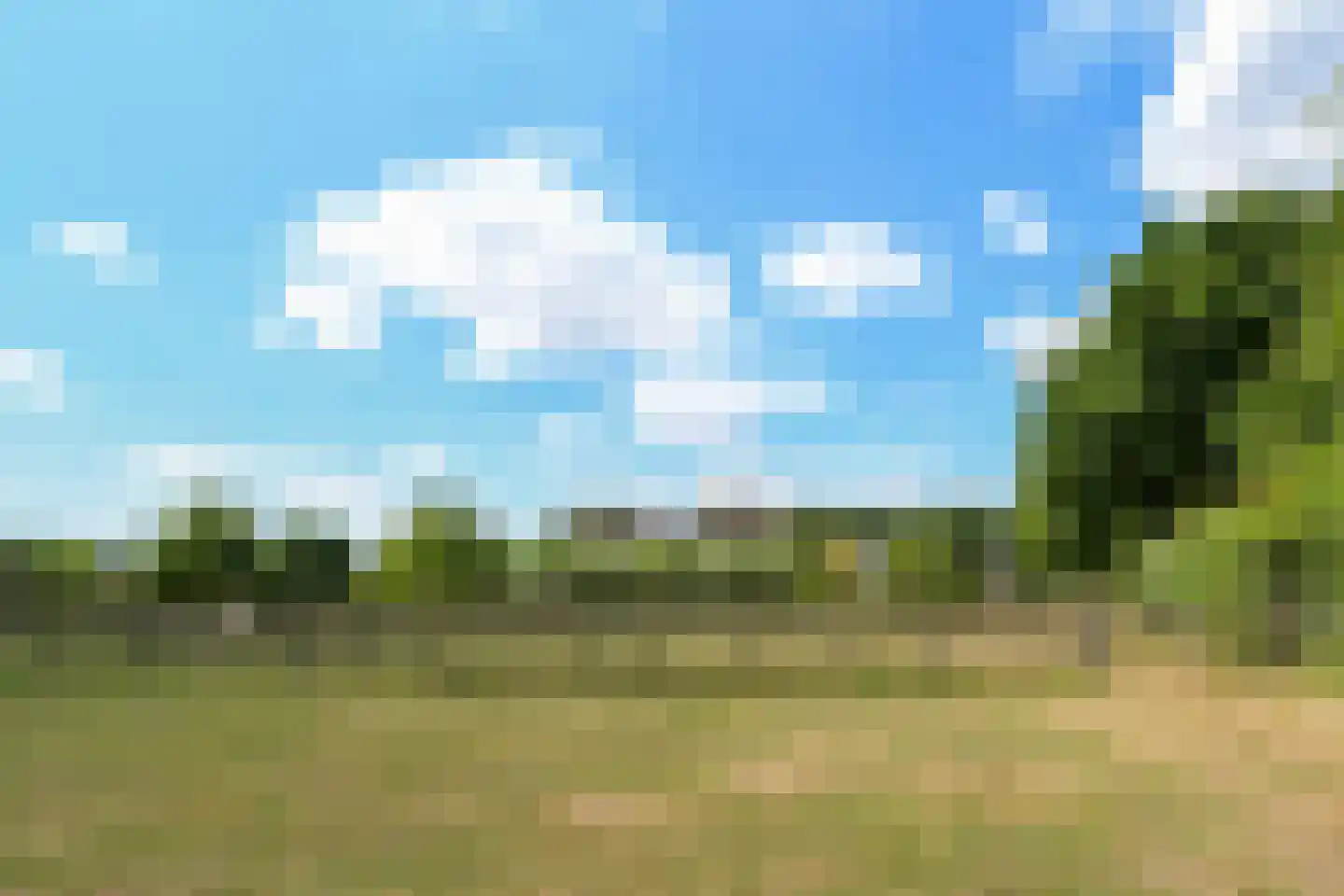 Engerstraat 4 Haler thumbnail 69