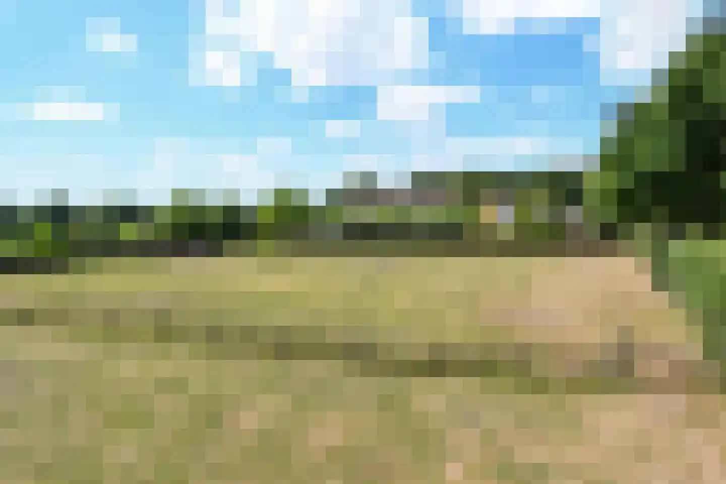 Engerstraat 4 Haler thumbnail 70