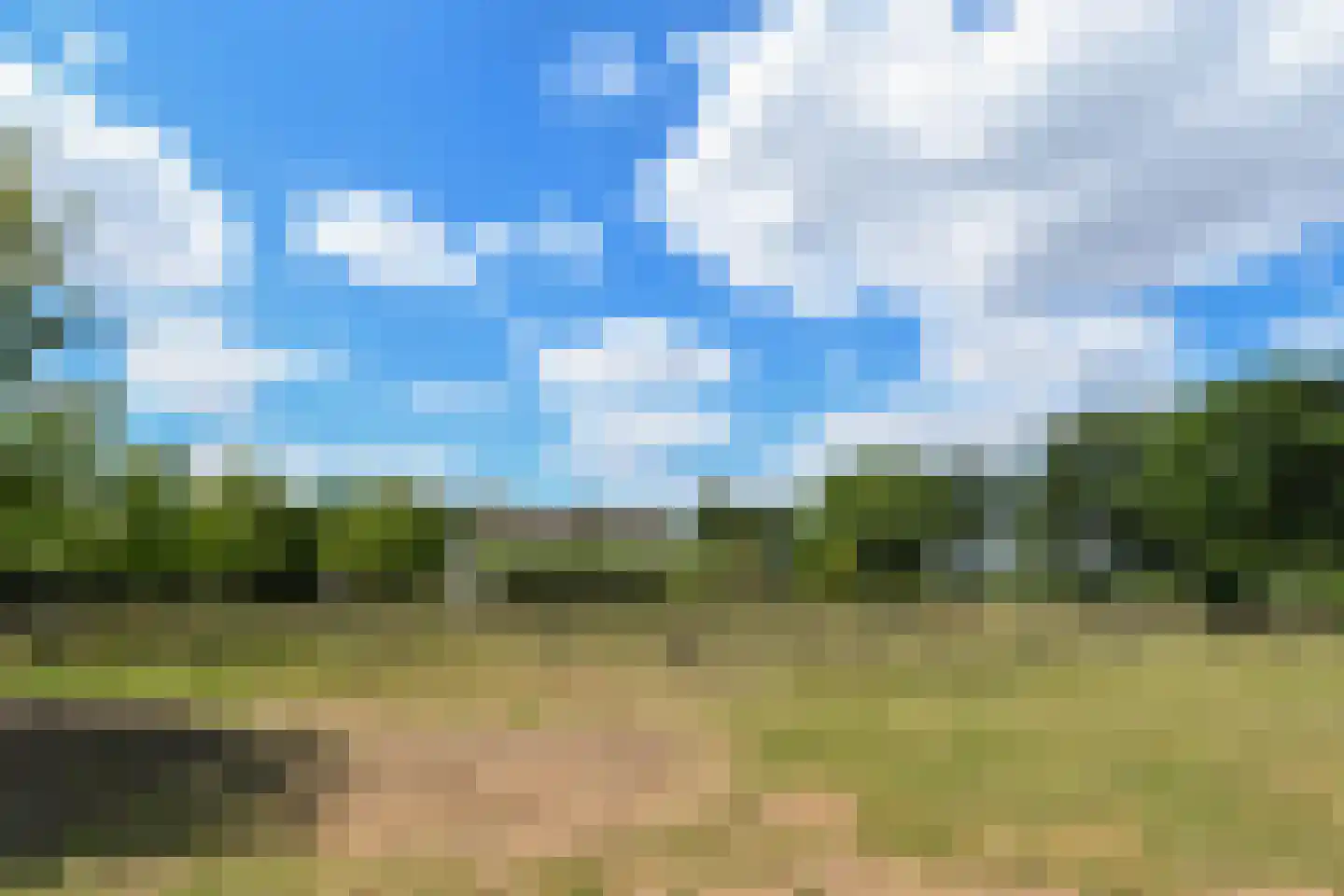 Engerstraat 4 Haler thumbnail 71