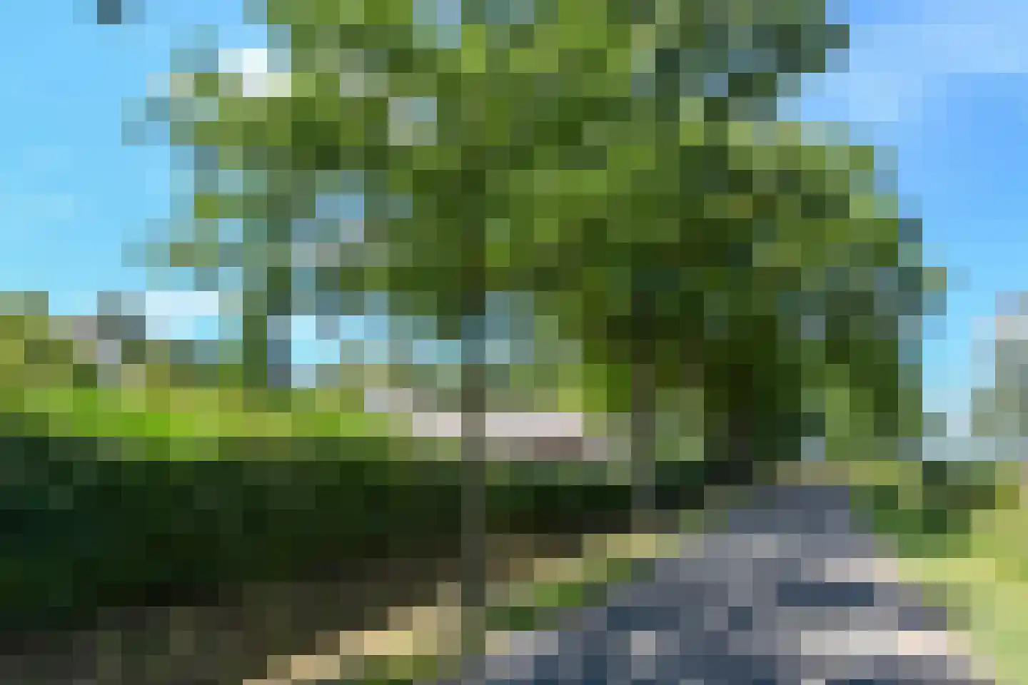 Engerstraat 4 Haler thumbnail 73