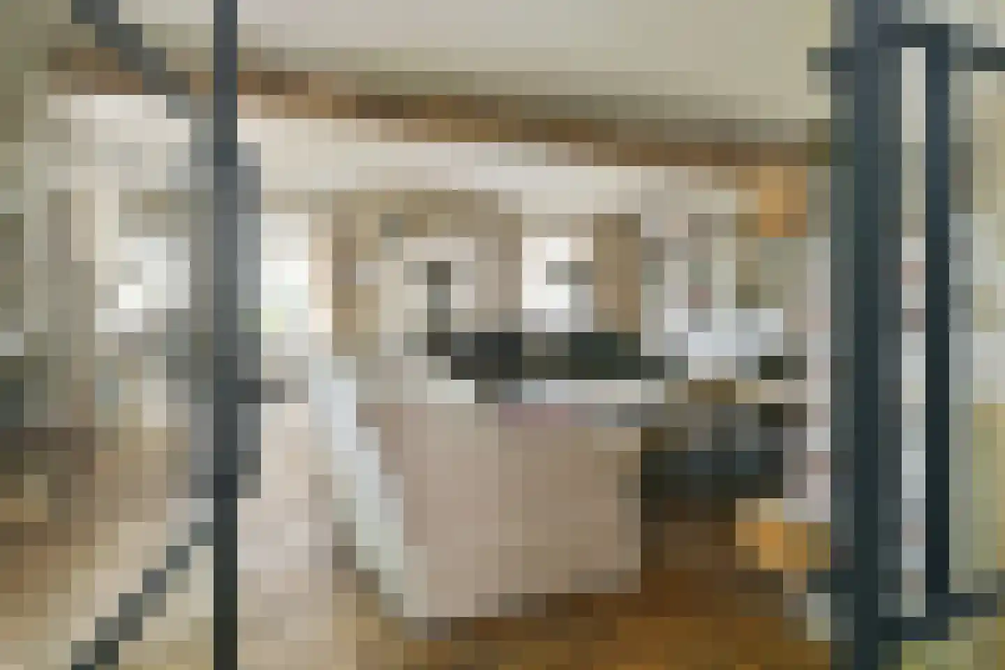 Engerstraat 4 Haler thumbnail 8