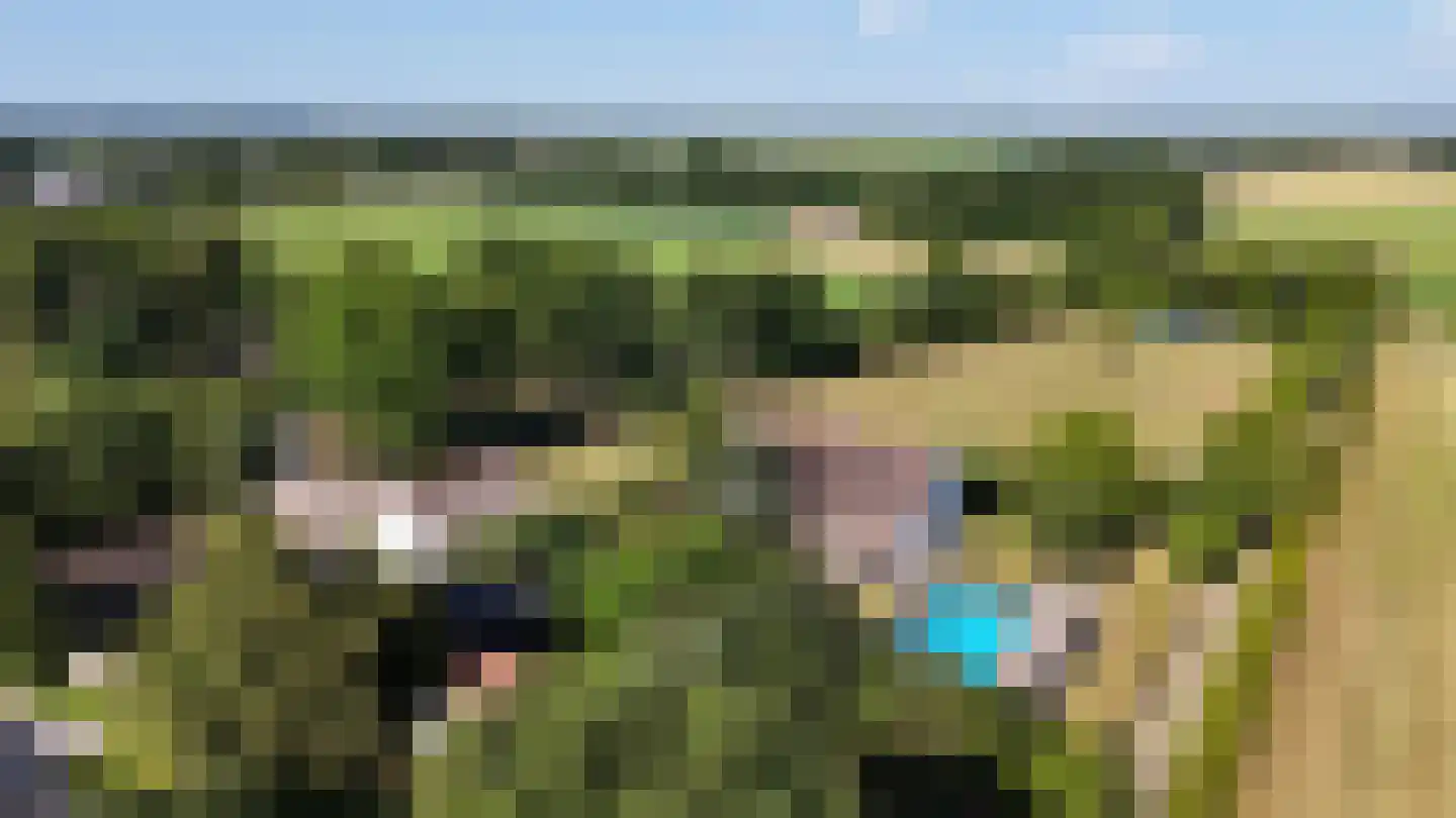 Engerstraat 4 Haler thumbnail 80