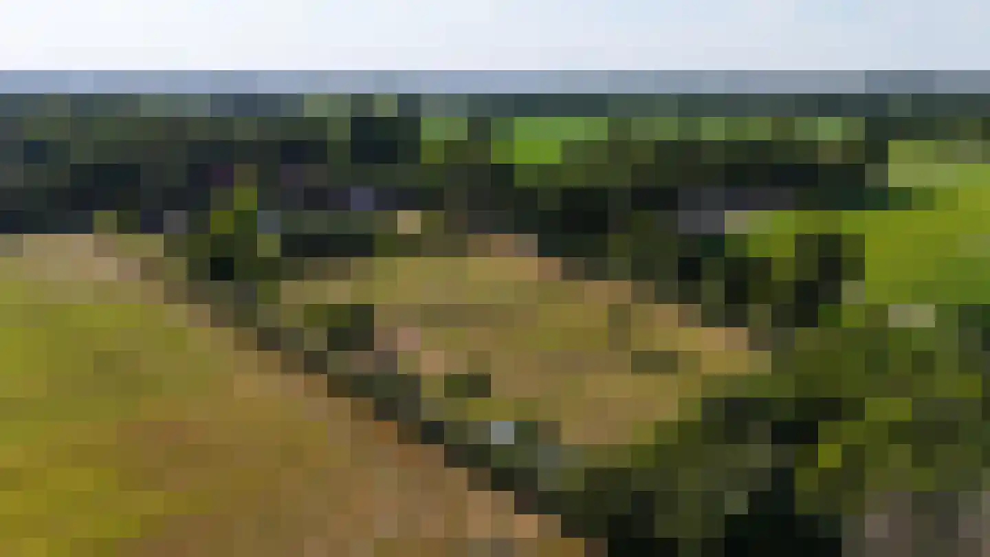 Engerstraat 4 Haler thumbnail 61