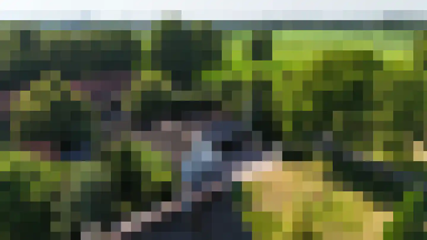 Engerstraat 4 Haler thumbnail 62