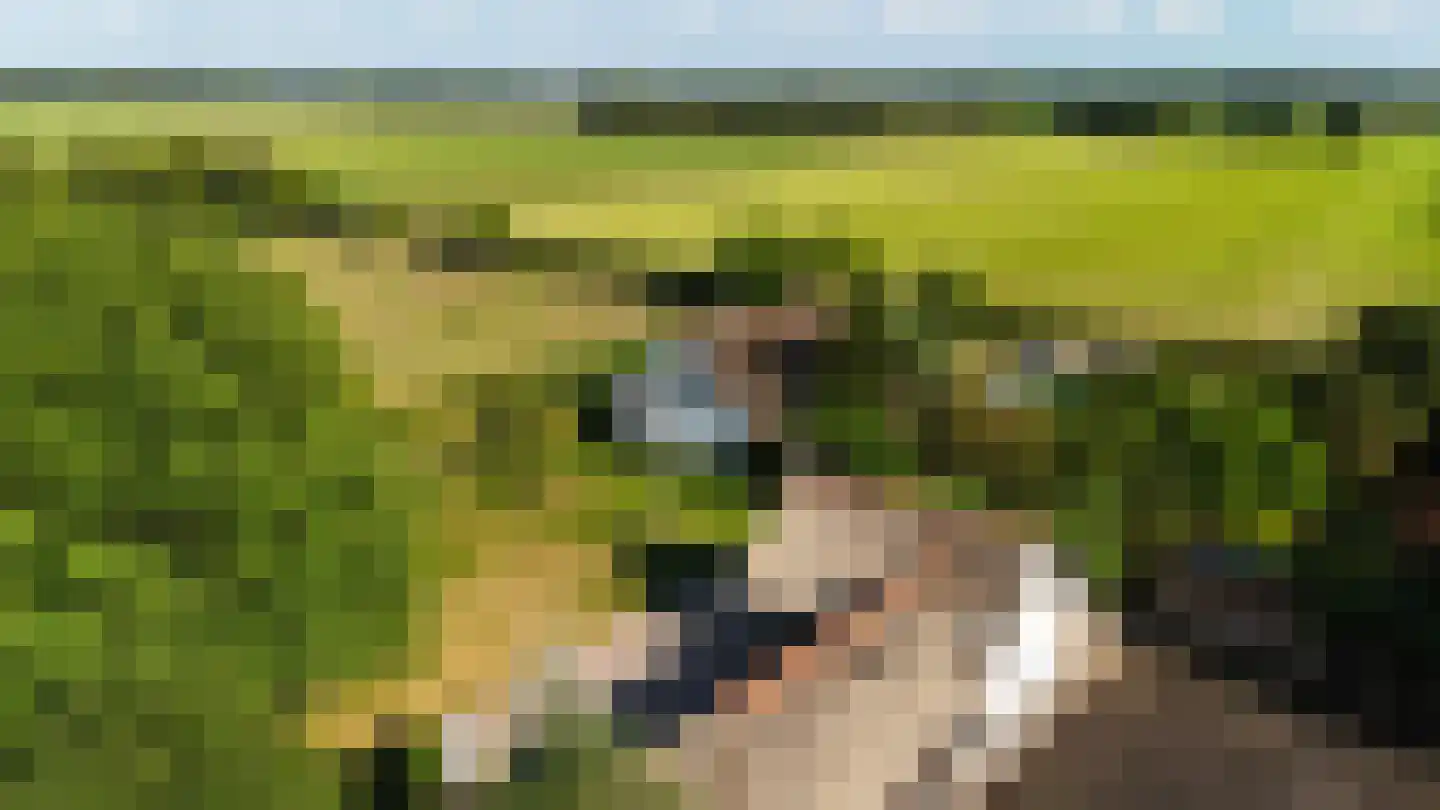 Engerstraat 4 Haler thumbnail 64