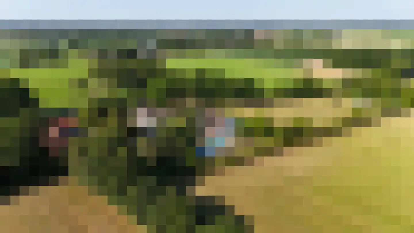Engerstraat 4 Haler thumbnail 65