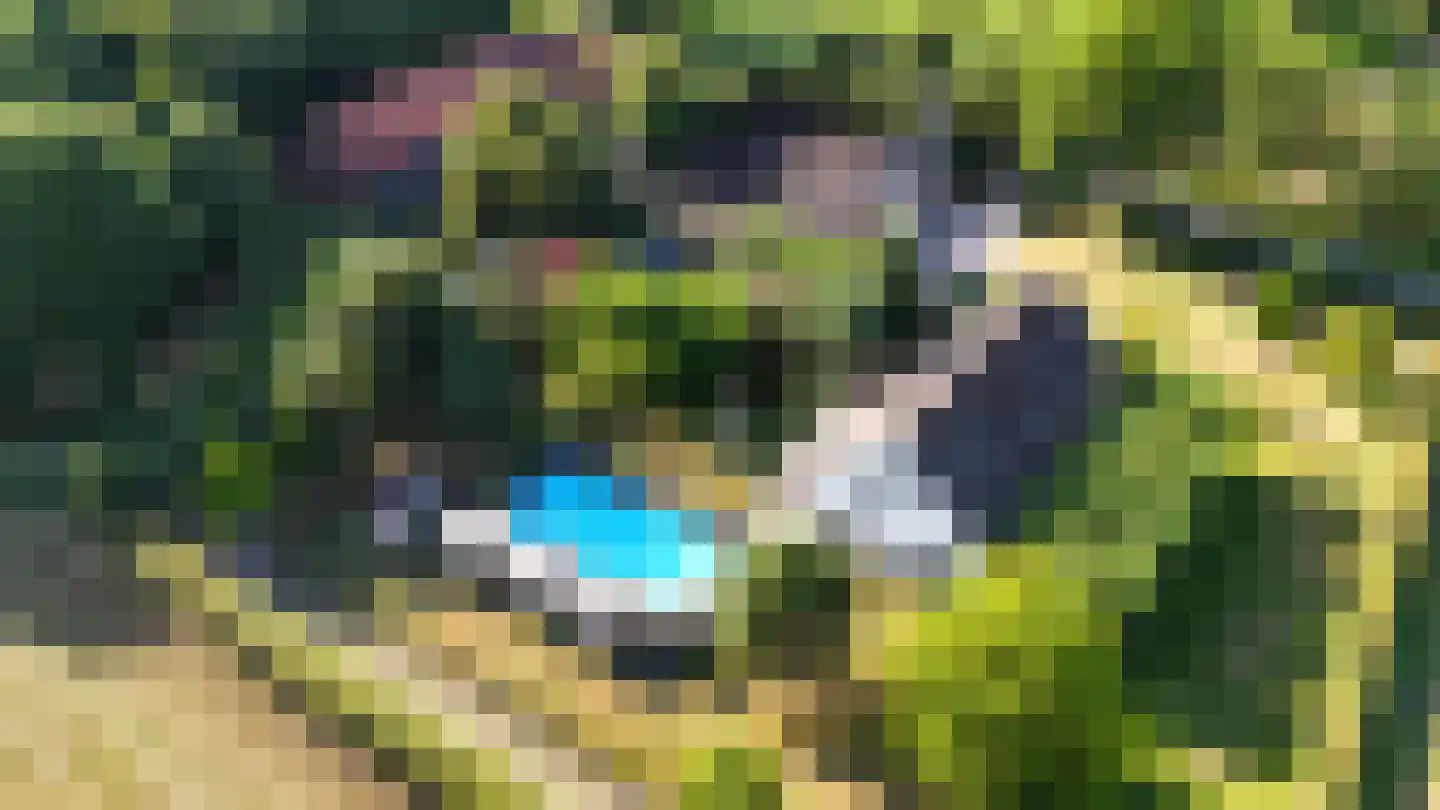 Engerstraat 4 Haler thumbnail 67