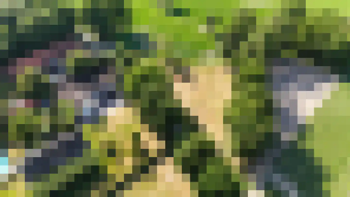 Engerstraat 4 Haler thumbnail 68
