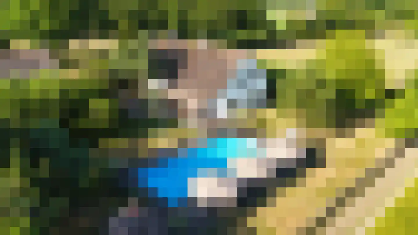 Engerstraat 4 Haler thumbnail 88