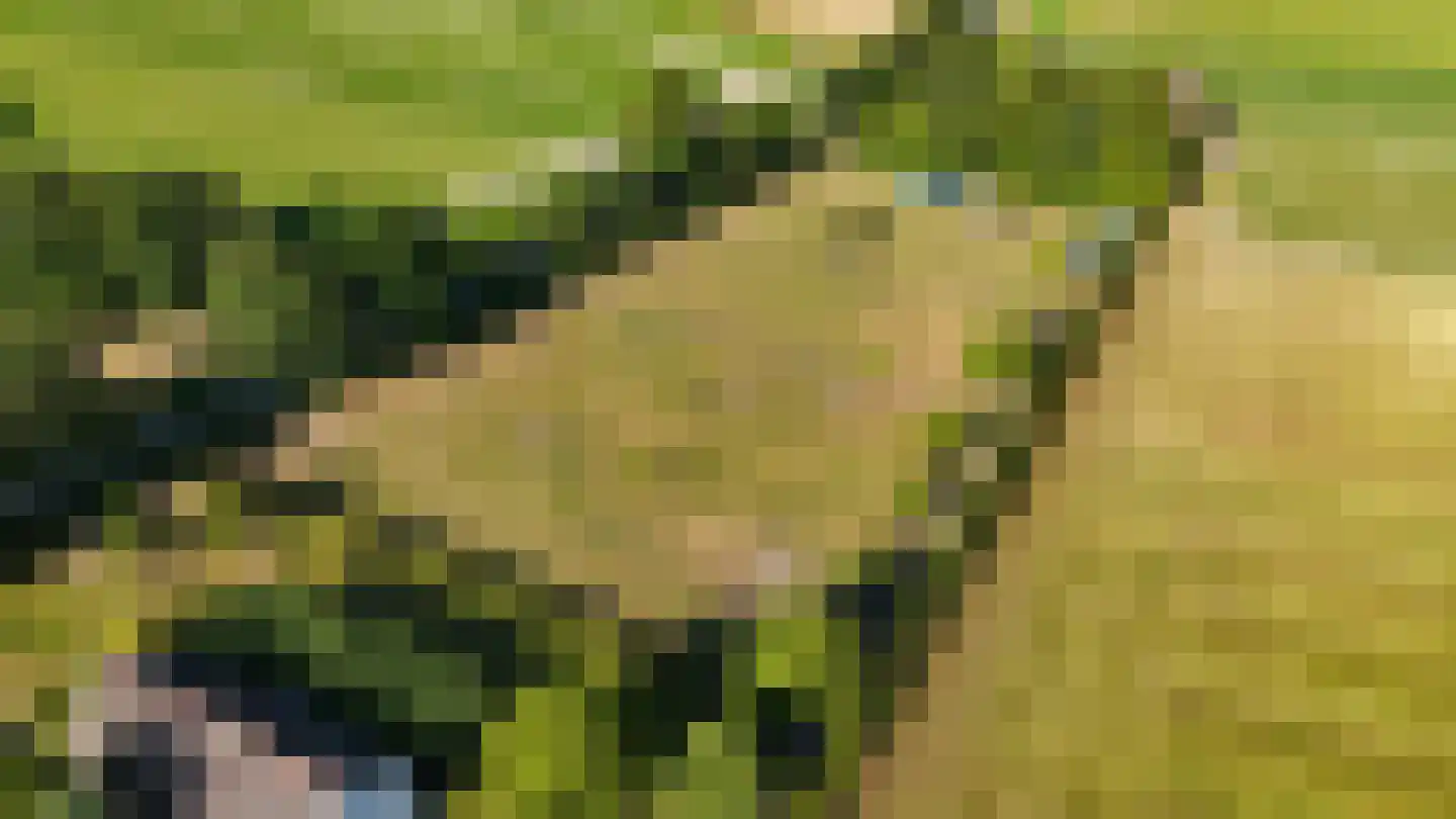 Engerstraat 4 Haler thumbnail 70