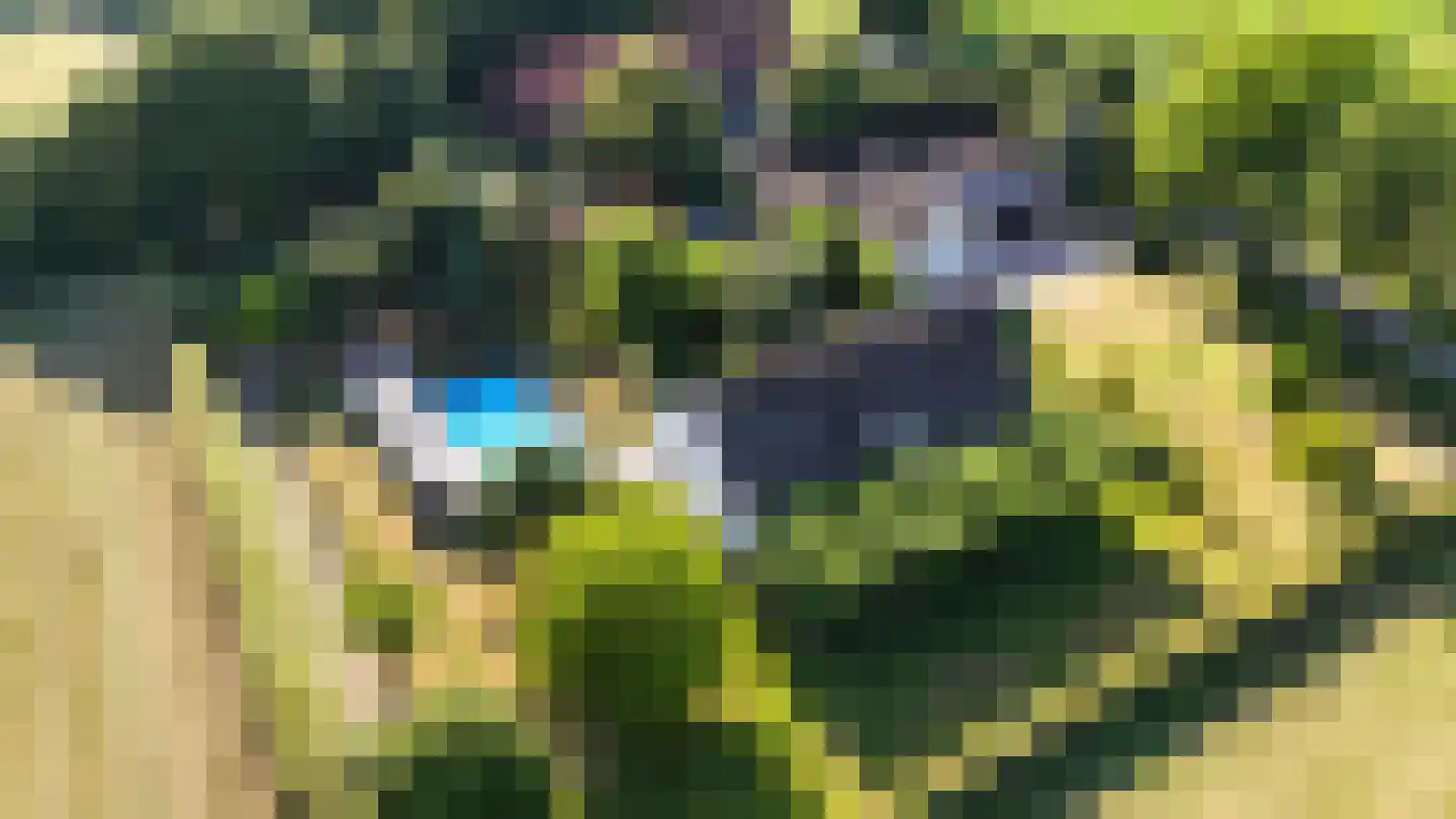 Engerstraat 4 Haler thumbnail 91