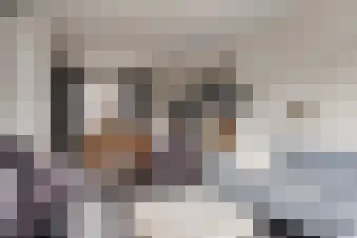 Enggraaf 23 Haaften thumbnail 10
