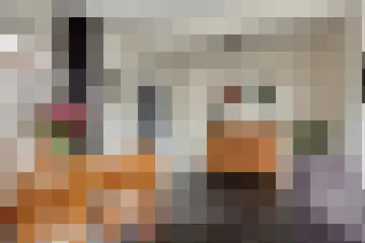 Enggraaf 23 Haaften thumbnail 12