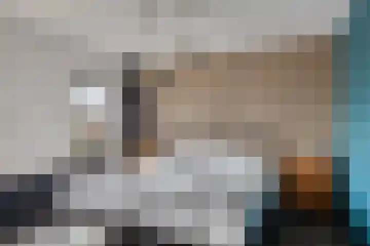 Enggraaf 23 Haaften thumbnail 19