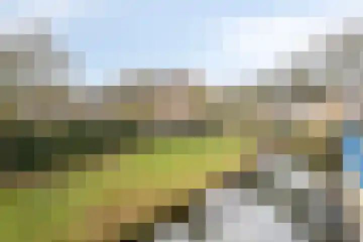 Enggraaf 23 Haaften thumbnail 31