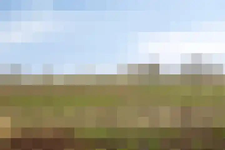 Enggraaf 23 Haaften thumbnail 32