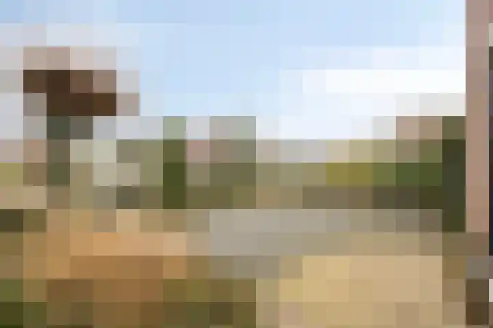 Enggraaf 23 Haaften thumbnail 5