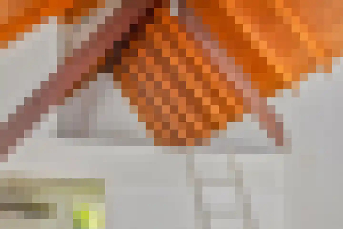 Engstraat 7 Heusden thumbnail 18