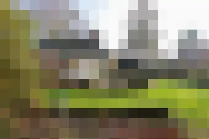 Engweg 2 Lunteren thumbnail 39