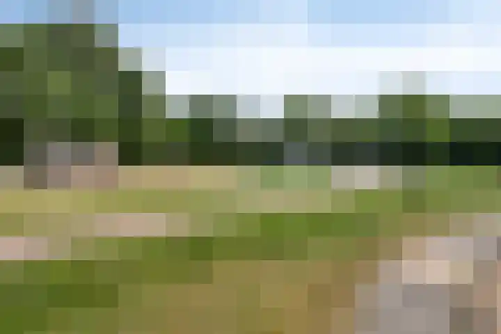 Engweg 37 Hoogland thumbnail 33