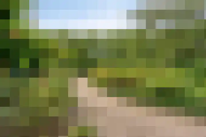 Engweg 37 Hoogland thumbnail 35