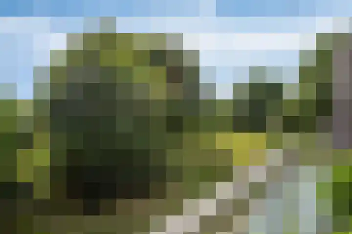 Engweg 37 Hoogland thumbnail 5
