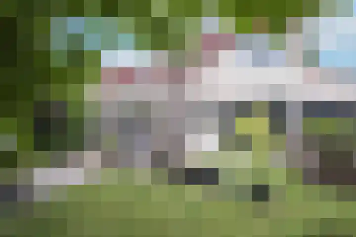Engweg 46 Hoogland thumbnail 47