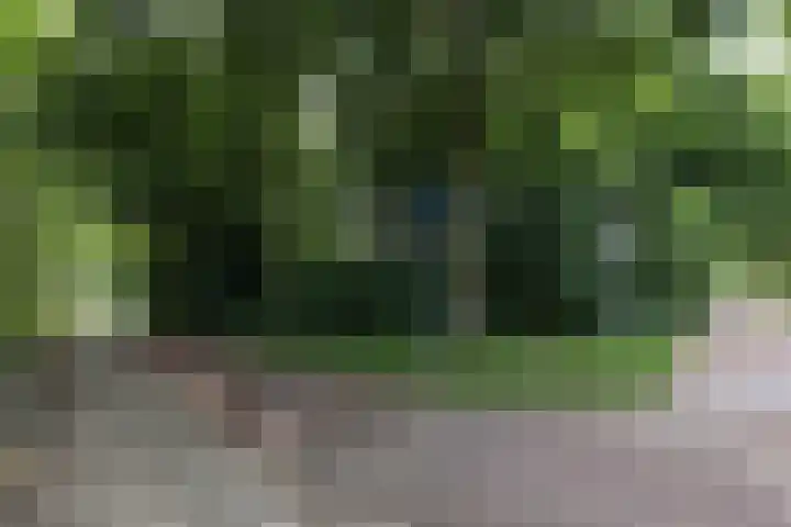 Engweg 46 Hoogland thumbnail 54