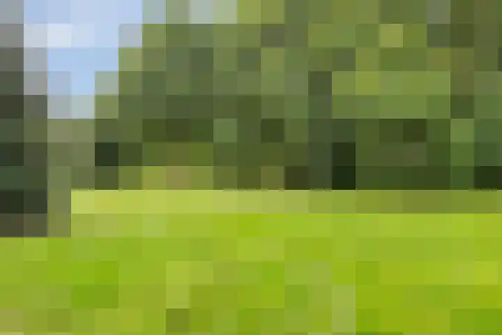 Engweg 57 Hoogland thumbnail 31