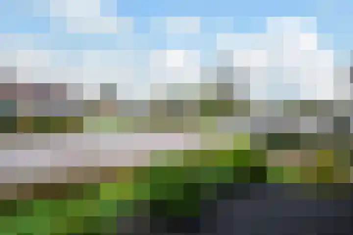 Engweg 61 Putten thumbnail 32