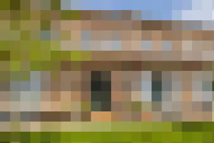 Enkalaan 11 Ede
