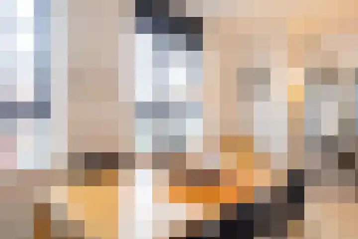 Enkalaan 113 Ede thumbnail 11
