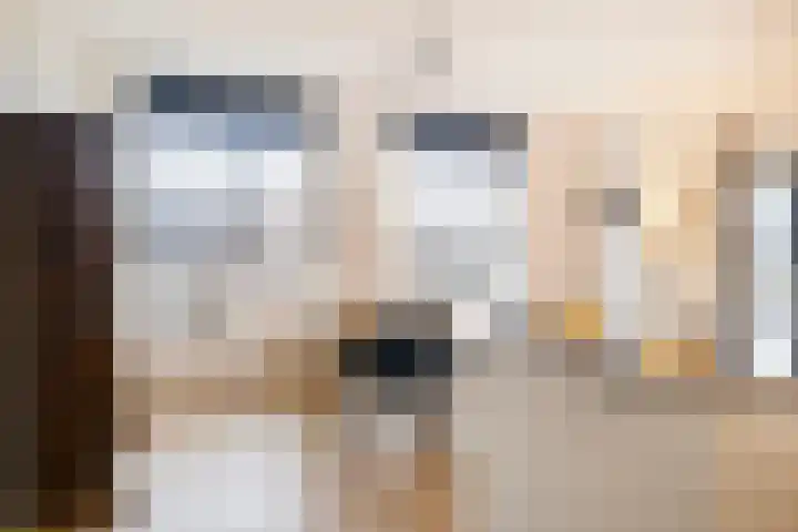 Enkalaan 113 Ede thumbnail 15