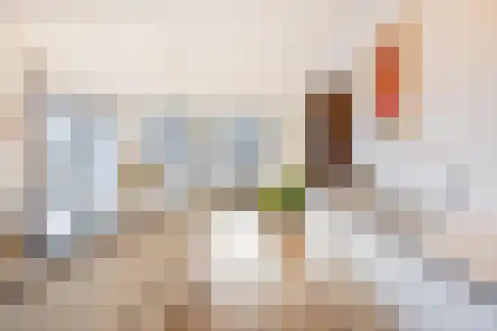 Enkalaan 113 Ede thumbnail 17