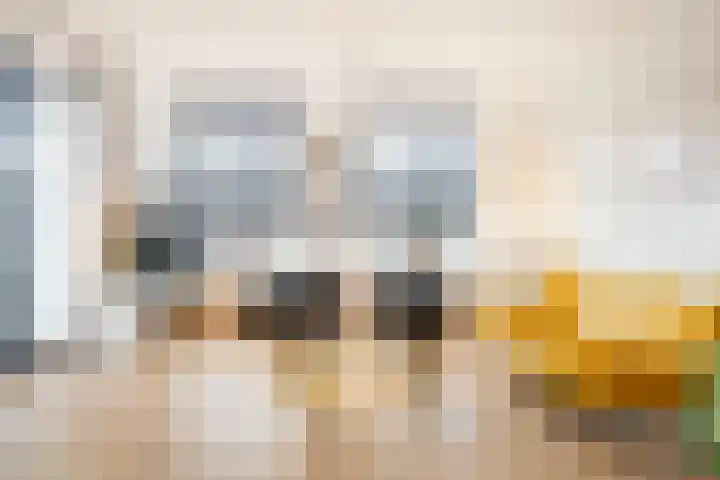 Enkalaan 113 Ede thumbnail 18