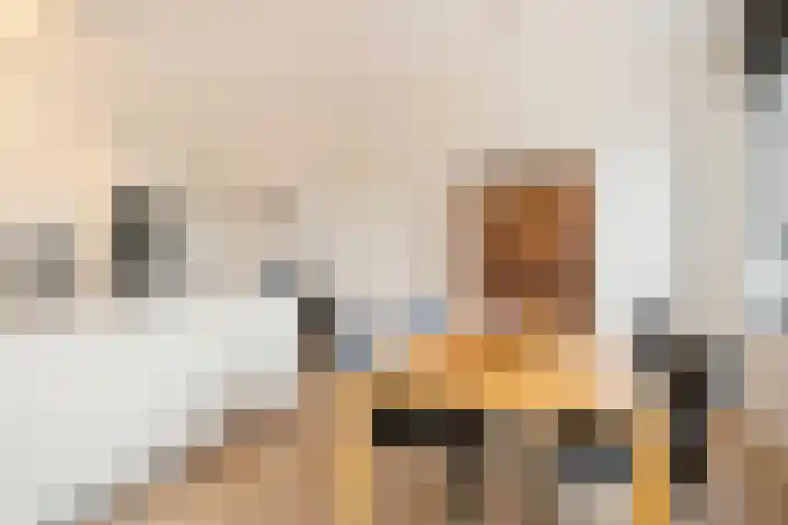 Enkalaan 113 Ede thumbnail 20