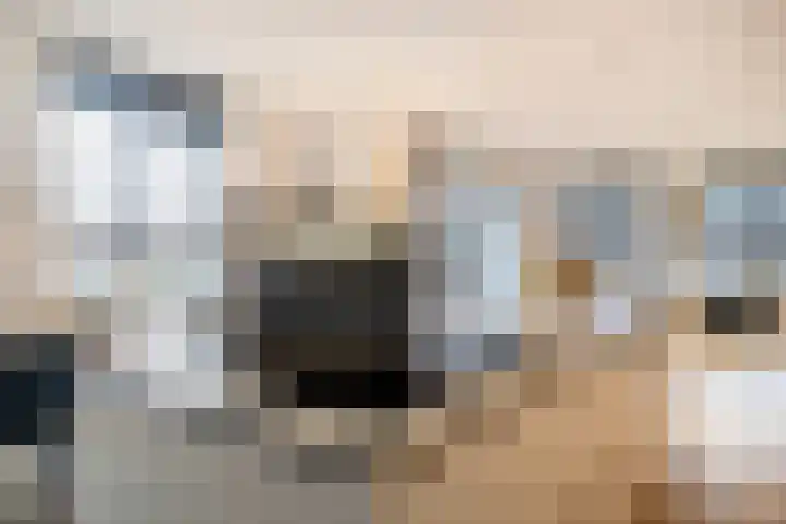 Enkalaan 113 Ede thumbnail 24
