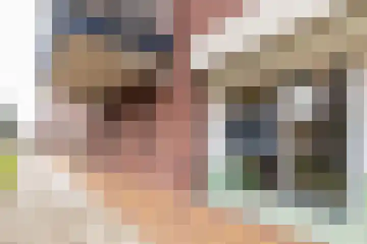Enkalaan 113 Ede thumbnail 4