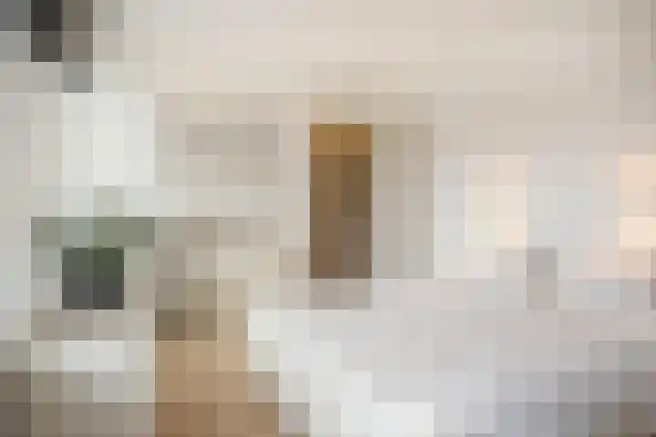 Enkalaan 113 Ede thumbnail 42