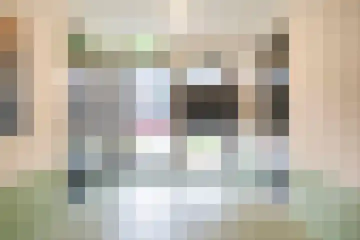 Enkalaan 113 Ede thumbnail 5