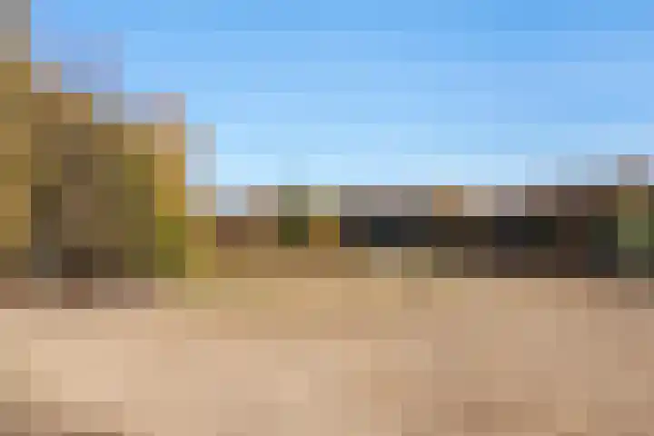 Enkalaan 113 Ede thumbnail 57