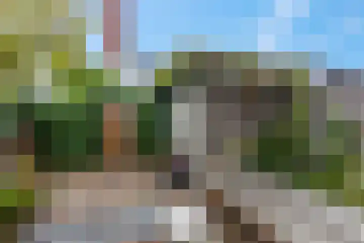 Enkalaan 157 Ede thumbnail 15