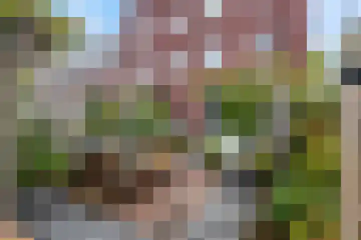Enkalaan 157 Ede thumbnail 17