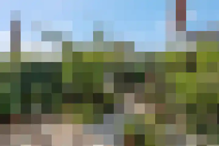 Enkalaan 157 Ede thumbnail 19