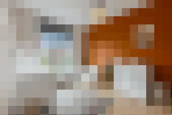 Enkalaan 157 Ede thumbnail 23