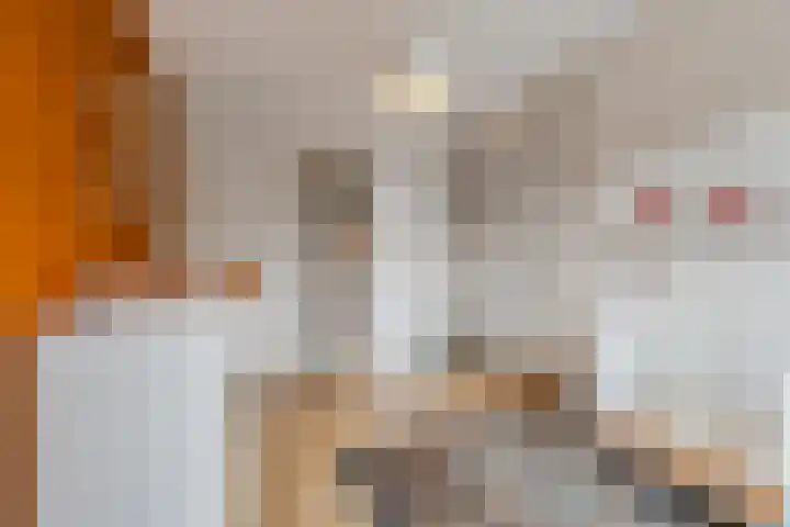 Enkalaan 157 Ede thumbnail 24