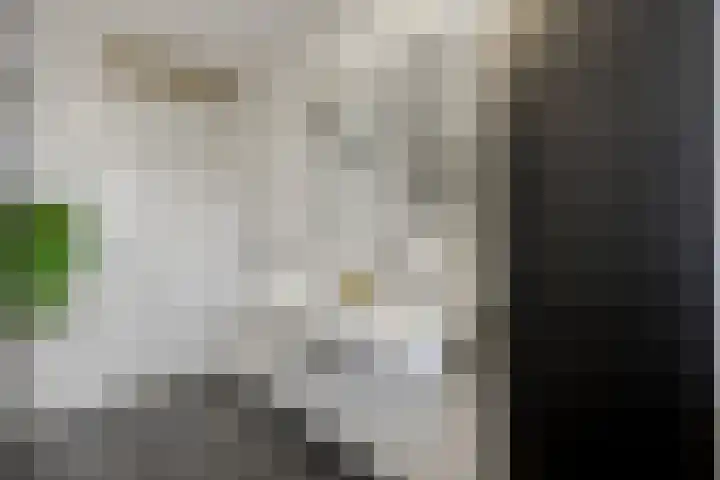 Enkalaan 157 Ede thumbnail 27
